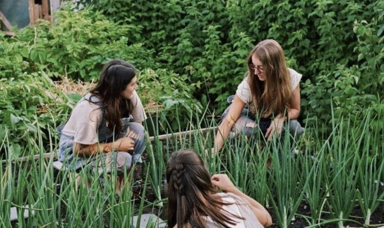 3 Filles qui plantent des plantes